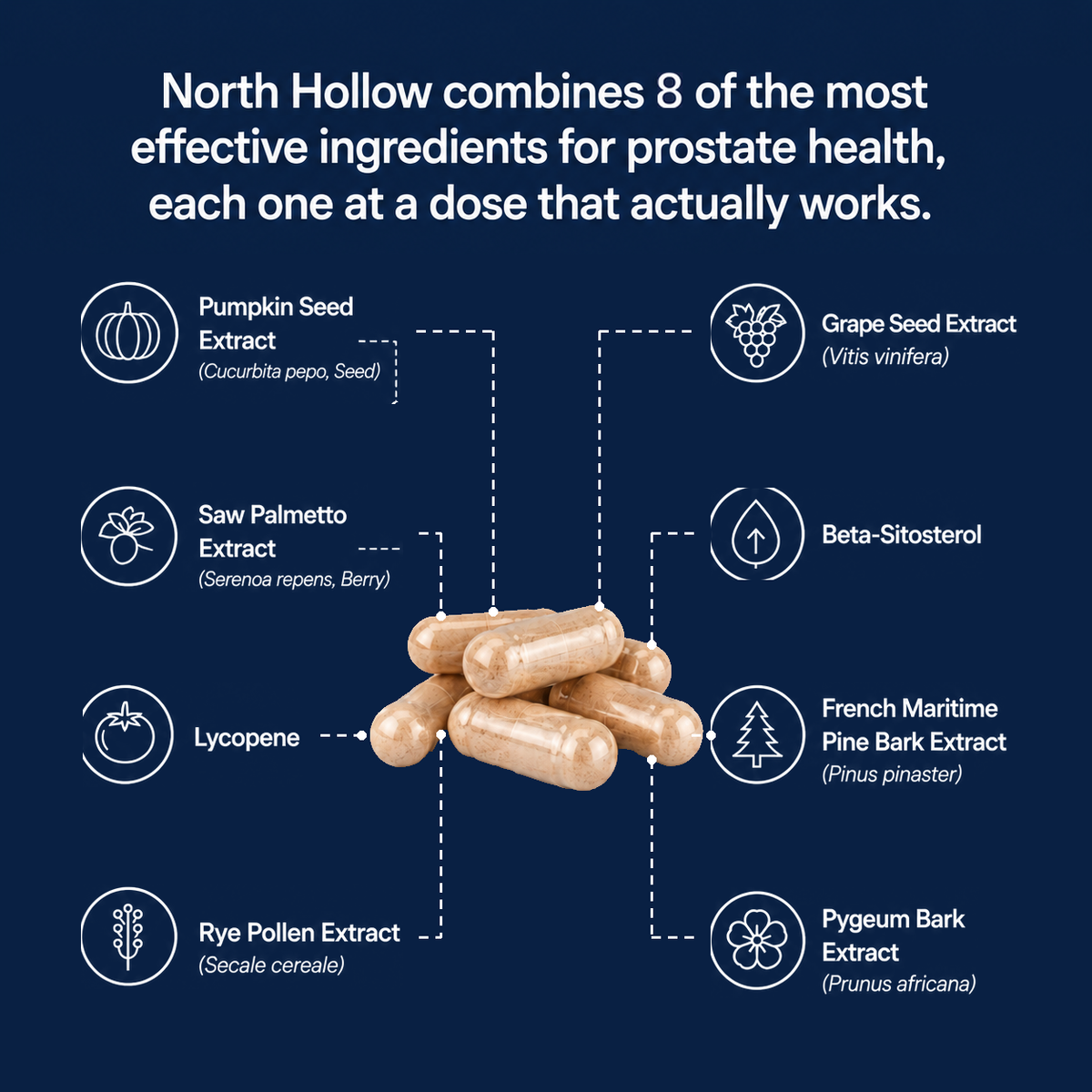 North Hollow Natural Prostate Support