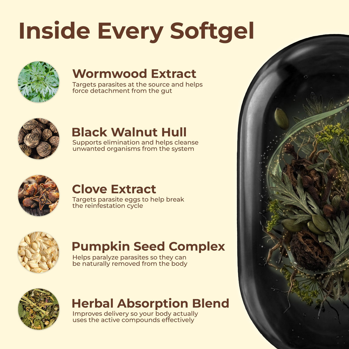 Holior Wormwood Black Walnut Pumpkin Seed & Clove Softgels